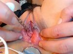 Painful Anal Dildo Urethra Penetration - AdalynnX Dog Dildo 